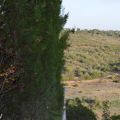 20 hectares property in  Val De Fontes